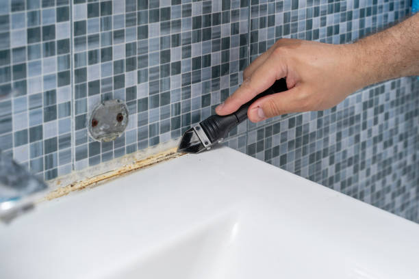 Mold Removal Process in Bedford, IA