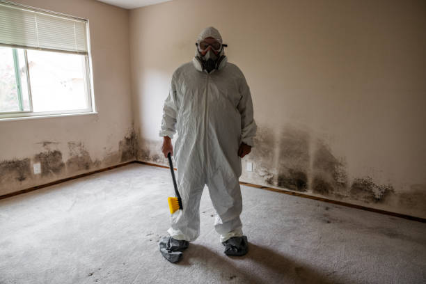 Best Residential Mold Removal  in Bedford, IA